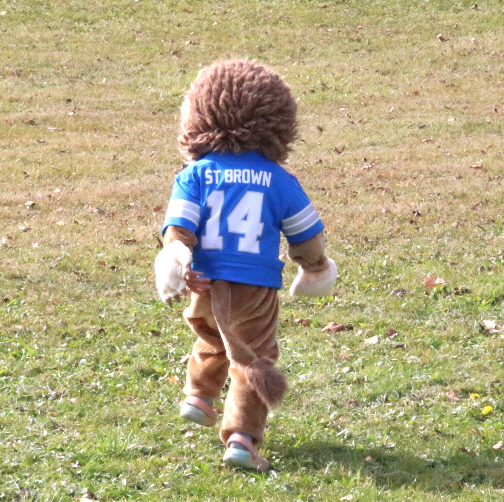 festive-fall-fun-the-ogemaw-county-herald